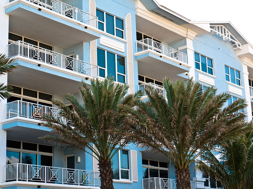 Palm tree and building