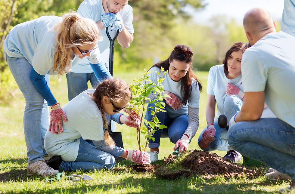 Gardening